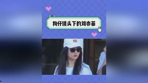 娱乐吃瓜直播号,直播号带你吃瓜不停歇