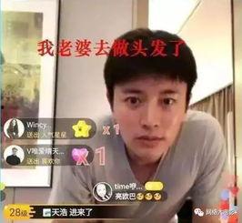 娱乐吃瓜电视剧全集小花,娱乐圈风云录