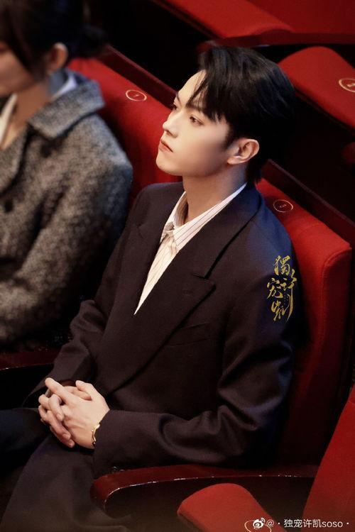 吃瓜娱乐圈许凯图片大全,娱乐圈瓜田里的高颜值瓜王