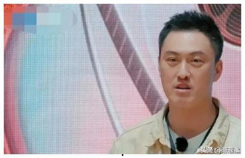 娱乐圈吃瓜爆料陈晓是谁,娱乐圈吃瓜爆料中的焦点人物